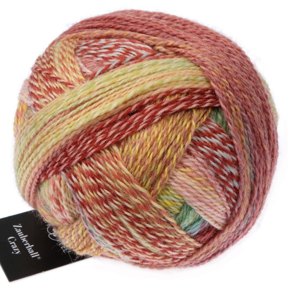 Schoppel-Wolle Zauberball Crazy - Schoppel-Wolle 2545 Early Autumn - The Little Yarn Store