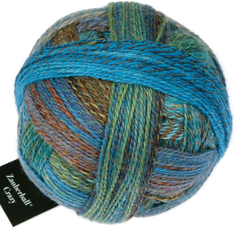 Schoppel-Wolle Zauberball Crazy - Schoppel-Wolle 2623 Early Bird - The Little Yarn Store
