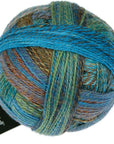 Schoppel-Wolle Zauberball Crazy - Schoppel-Wolle 2623 Early Bird - The Little Yarn Store