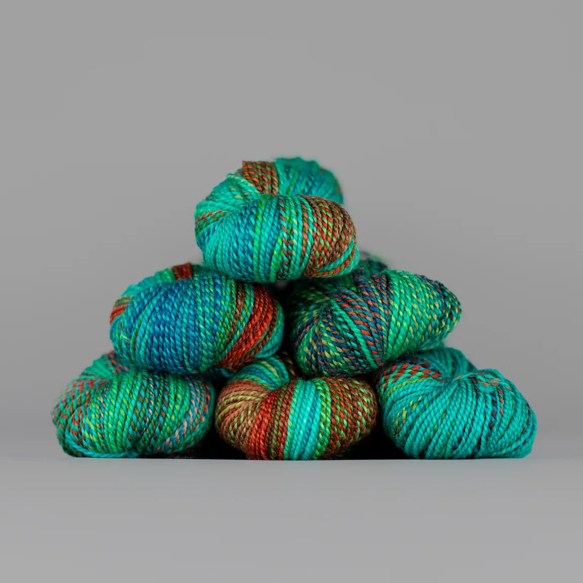 Spincycle Yarns Dyed in the Wool - Spincycle Yarns Holy Toledo - The Little Yarn Store
