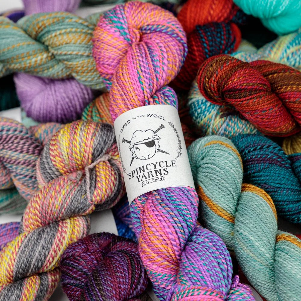 Spincycle Yarns Dyed in the Wool - Spincycle Yarns Afternoon Delight - The Little Yarn Store