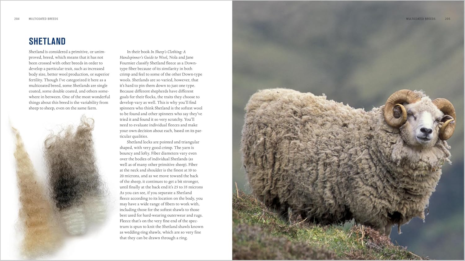 The Spinner's Book of Fleece - Beth Smith - The Little Yarn Store