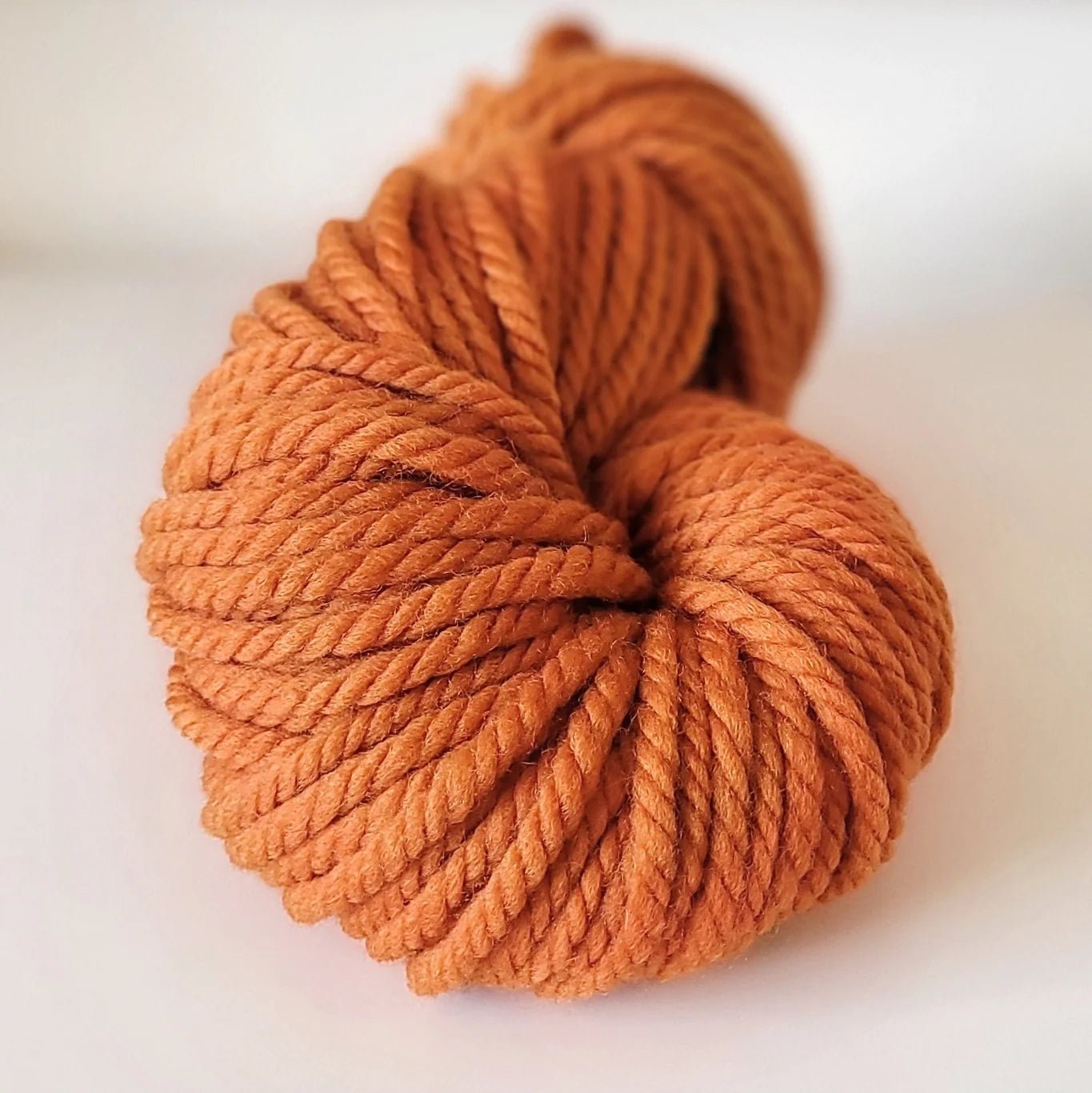 Woolly Yarn Co Super Woolly - Woolly Yarn Co 15 Punkin - The Little Yarn Store