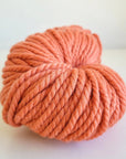 Woolly Yarn Co Super Woolly - Woolly Yarn Co 5 Rust Bucket - The Little Yarn Store