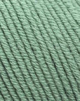Bellissimo 8 - Bellissimo 221 Sage - The Little Yarn Store