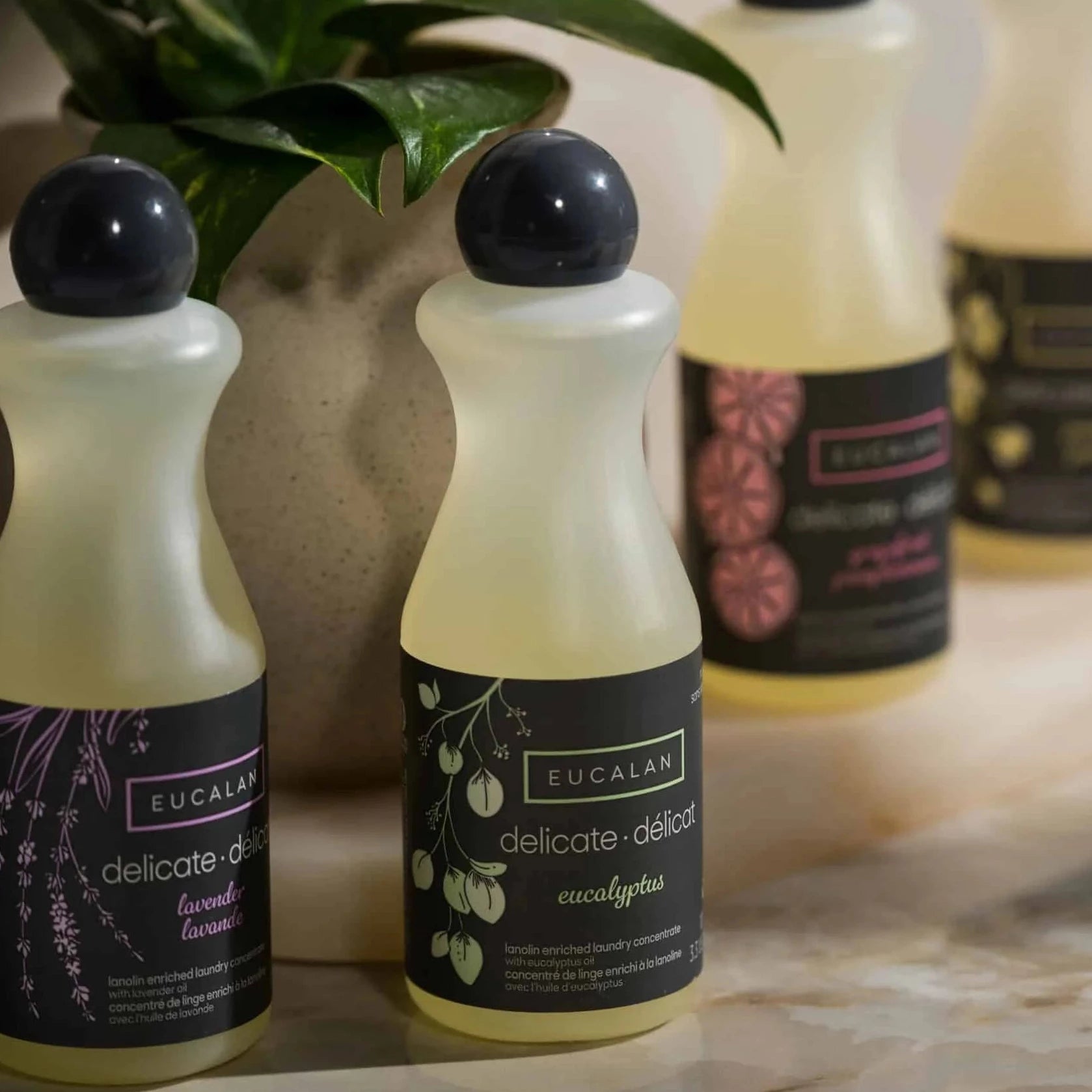 Eucalan Delicate Wash 500 ML - Eucalan Eucalyptus - The Little Yarn Store