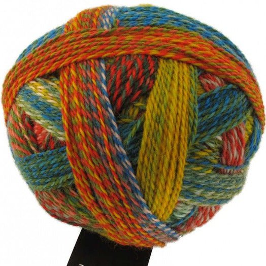 Schoppel-Wolle Starke 6 - Schoppel-Wolle 1701 Parrot - The Little Yarn Store