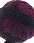 Schoppel-Wolle Starke 6 - Schoppel-Wolle 2082 Charisma - The Little Yarn Store