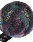 Schoppel-Wolle Starke 6 - Schoppel-Wolle 2475 Background Noise - The Little Yarn Store