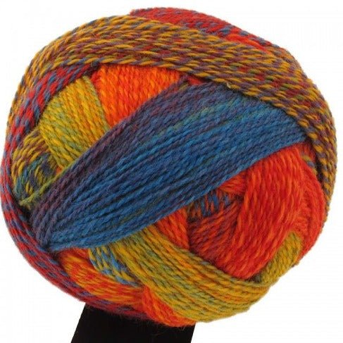 Schoppel-Wolle Zauberball Crazy - Schoppel-Wolle 1702 Small Tortoiseshell - The Little Yarn Store