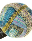 Schoppel-Wolle Zauberball Crazy - Schoppel-Wolle 2355 Garden Party - The Little Yarn Store