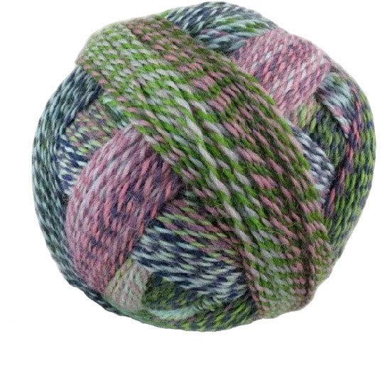 Schoppel-Wolle Zauberball Crazy - Schoppel-Wolle 2170 Not the Foggiest - The Little Yarn Store