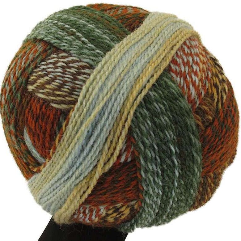 Schoppel-Wolle Zauberball Crazy - Schoppel-Wolle 1660 Riverbed - The Little Yarn Store